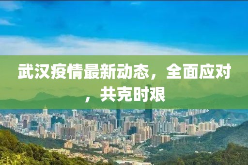 武汉疫情最新动态，全面应对，共克时艰