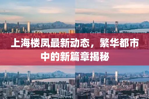 上海楼凤最新动态，繁华都市中的新篇章揭秘