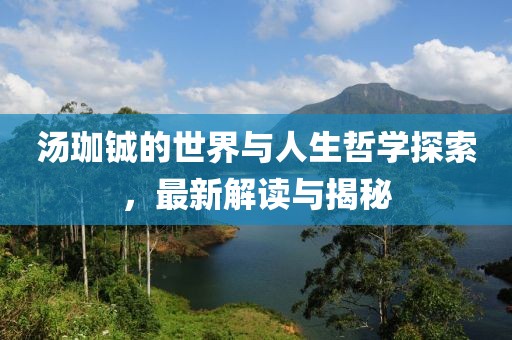 汤珈铖的世界与人生哲学探索，最新解读与揭秘