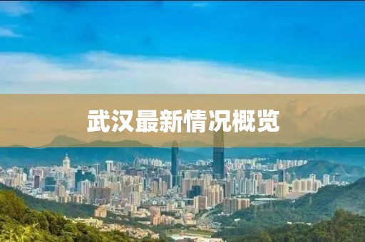 武汉最新情况概览
