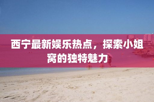 西宁最新娱乐热点，探索小姐窝的独特魅力
