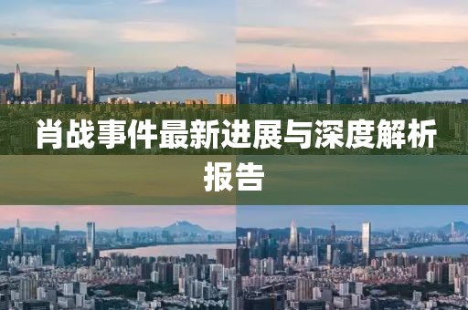 肖战事件最新进展与深度解析报告