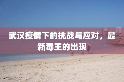 武汉疫情下的挑战与应对，最新毒王的出现