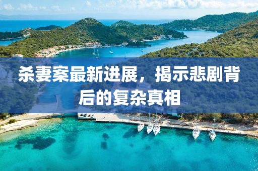 杀妻案最新进展，揭示悲剧背后的复杂真相