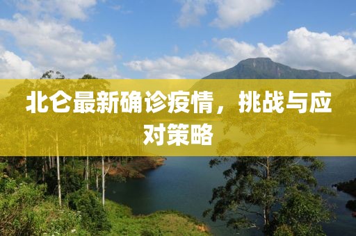 北仑最新确诊疫情，挑战与应对策略
