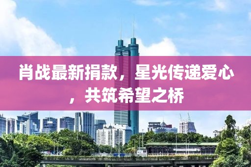 肖战最新捐款，星光传递爱心，共筑希望之桥
