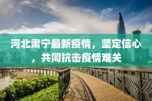 河北肃宁最新疫情，坚定信心，共同抗击疫情难关