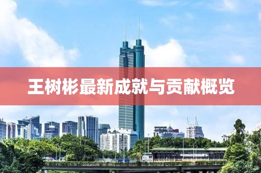 王树彬最新成就与贡献概览