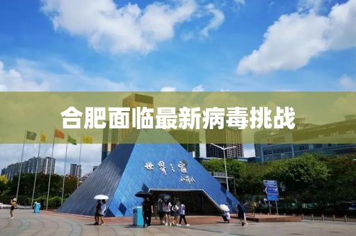合肥面临最新病毒挑战