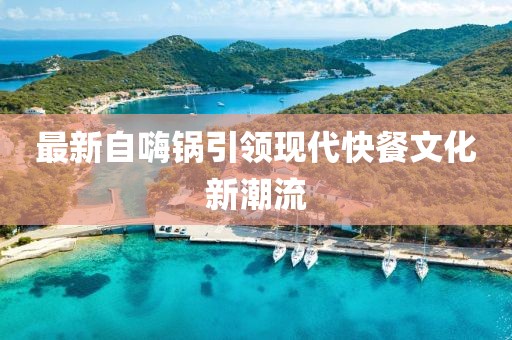 最新自嗨锅引领现代快餐文化新潮流