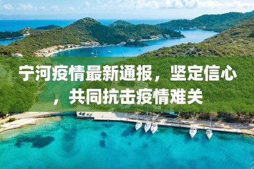 宁河疫情最新通报，坚定信心，共同抗击疫情难关
