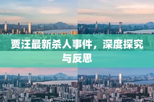 贾汪最新杀人事件，深度探究与反思