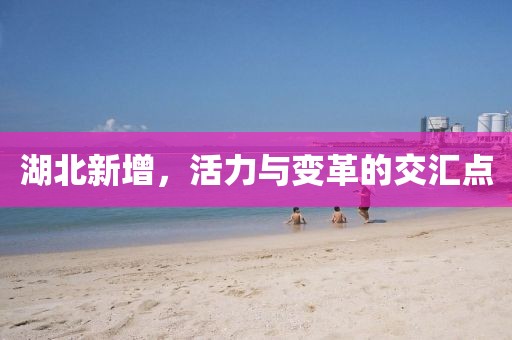湖北新增，活力与变革的交汇点