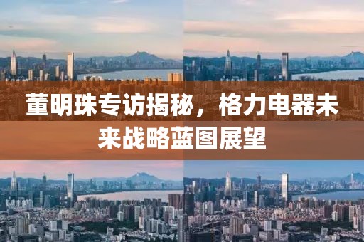 董明珠专访揭秘，格力电器未来战略蓝图展望