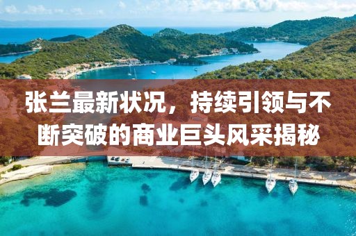 张兰最新状况，持续引领与不断突破的商业巨头风采揭秘