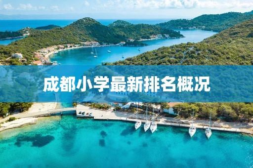 成都小学最新排名概况