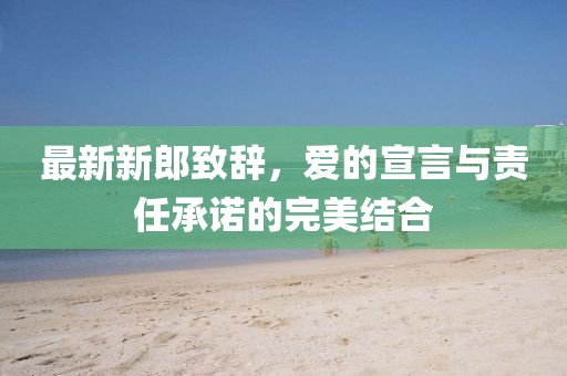 最新新郎致辞，爱的宣言与责任承诺的完美结合