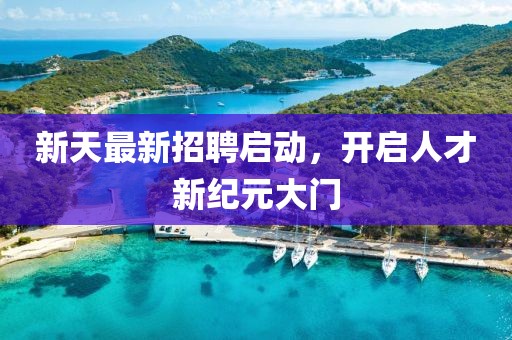 新天最新招聘启动，开启人才新纪元大门