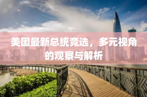 美国最新总统竞选，多元视角的观察与解析