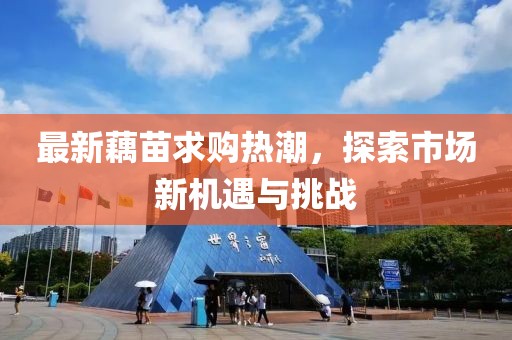 最新藕苗求购热潮，探索市场新机遇与挑战