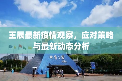 王辰最新疫情观察，应对策略与最新动态分析