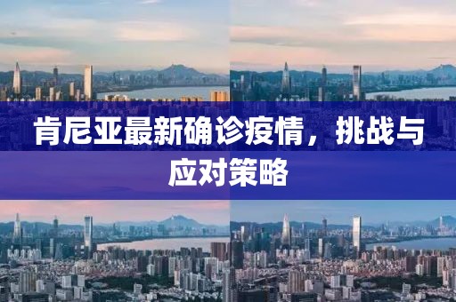 肯尼亚最新确诊疫情，挑战与应对策略