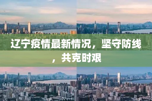 辽宁疫情最新情况，坚守防线，共克时艰