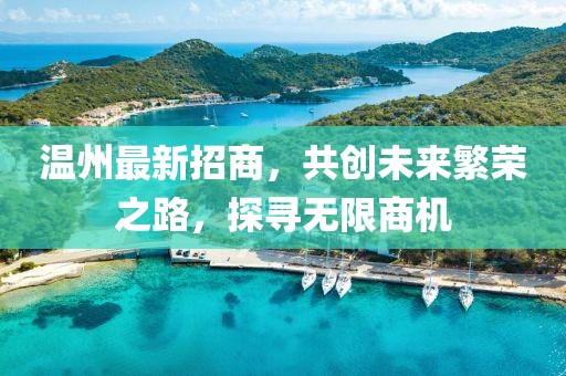 温州最新招商，共创未来繁荣之路，探寻无限商机