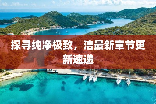 探寻纯净极致，洁最新章节更新速递
