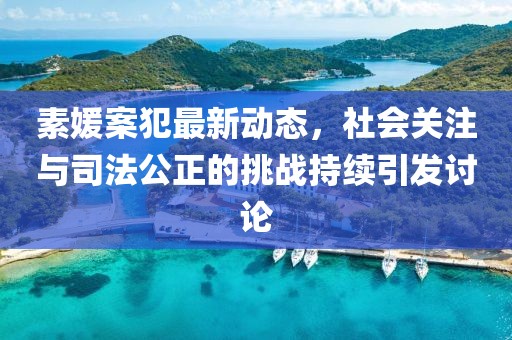 素媛案犯最新动态，社会关注与司法公正的挑战持续引发讨论