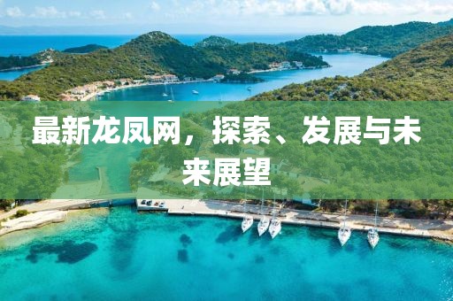 最新龙凤网，探索、发展与未来展望