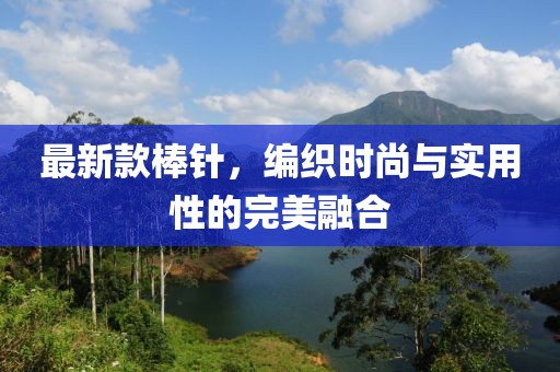 最新款棒针，编织时尚与实用性的完美融合