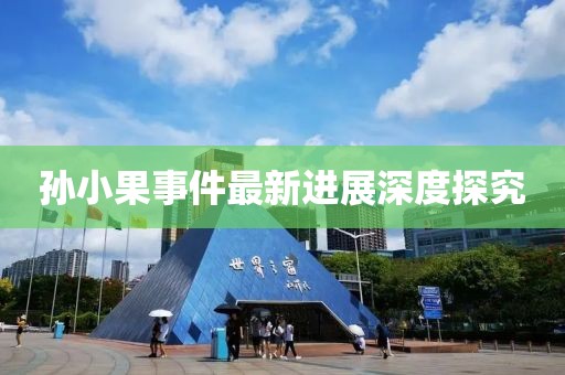 孙小果事件最新进展深度探究