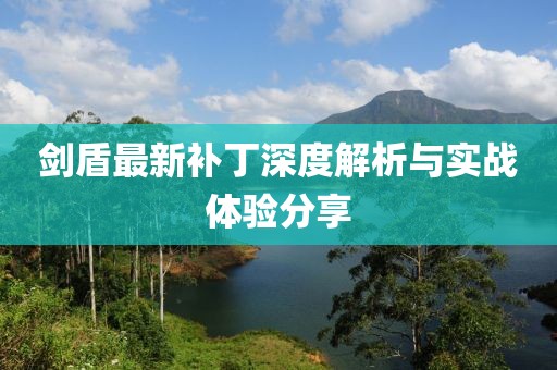 剑盾最新补丁深度解析与实战体验分享