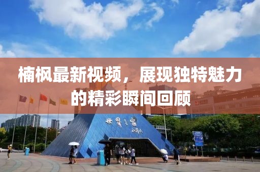 楠枫最新视频，展现独特魅力的精彩瞬间回顾