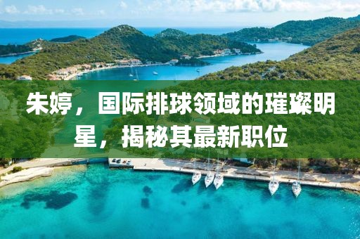朱婷，国际排球领域的璀璨明星，揭秘其最新职位