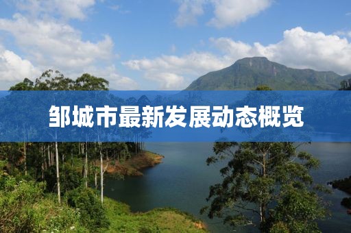 紫贝壳 第6页