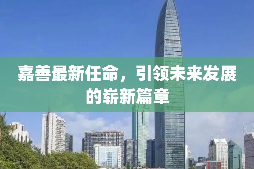 嘉善最新任命，引领未来发展的崭新篇章
