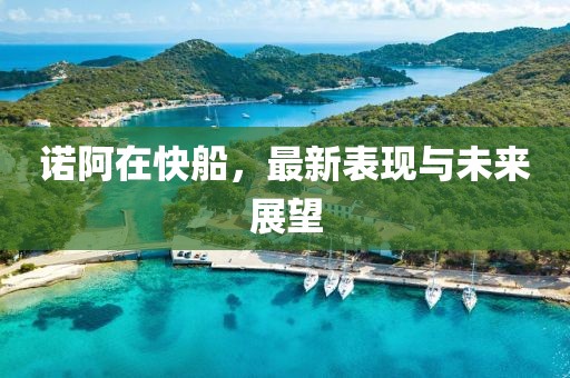 诺阿在快船，最新表现与未来展望