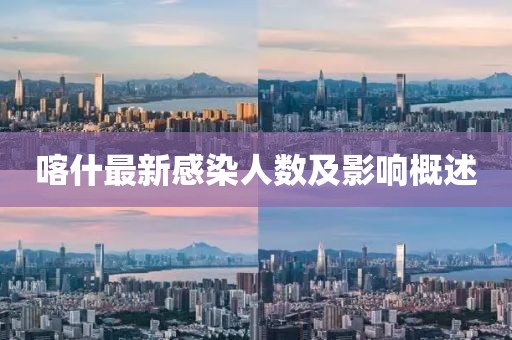 喀什最新感染人数及影响概述