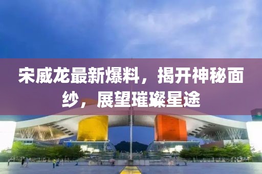 宋威龙最新爆料，揭开神秘面纱，展望璀璨星途
