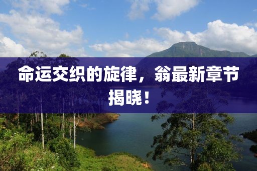 命运交织的旋律，翁最新章节揭晓！