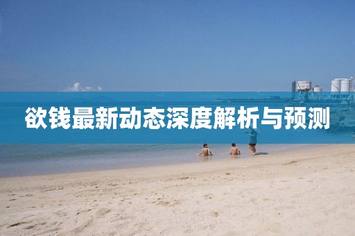 欲钱最新动态深度解析与预测
