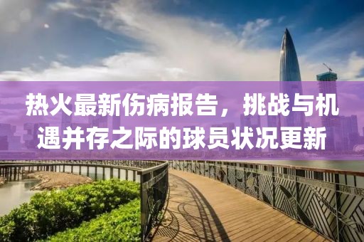 热火最新伤病报告，挑战与机遇并存之际的球员状况更新