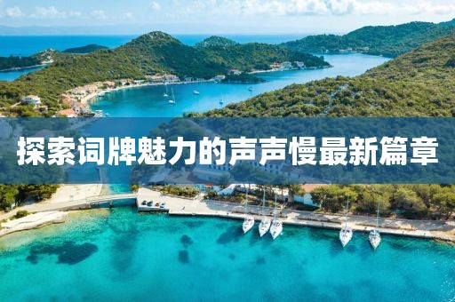 探索词牌魅力的声声慢最新篇章