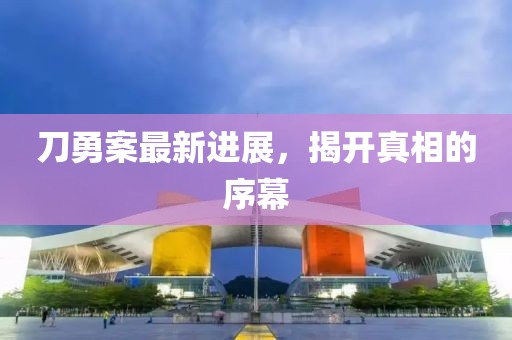 刀勇案最新进展，揭开真相的序幕
