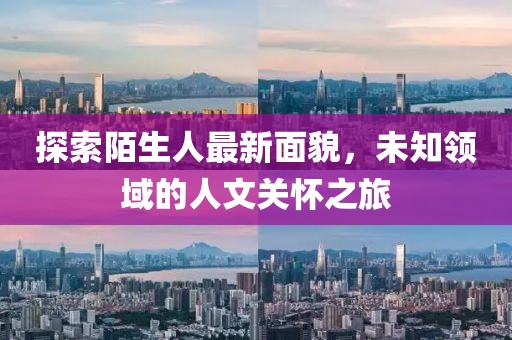 探索陌生人最新面貌，未知领域的人文关怀之旅