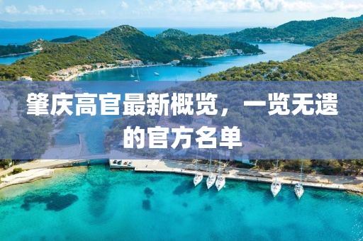 肇庆高官最新概览，一览无遗的官方名单