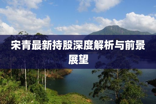 宋青最新持股深度解析与前景展望