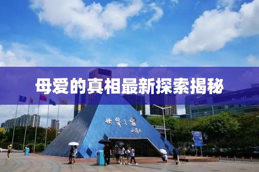 母爱的真相最新探索揭秘